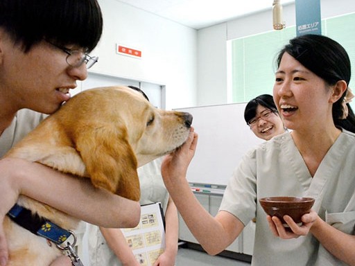 「動物看護師」を養成する大学　ペットとの共生社会めざして