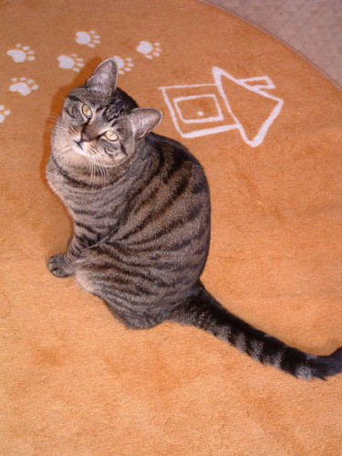 ルナの長いシッポ、はっぴーと同じ