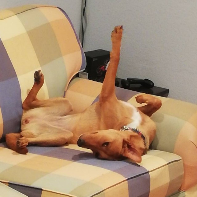 家ではリラ～ックス