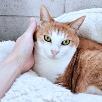 箱入り娘として大切に育てられたマリーちゃん（画像提供：まりてつさん）