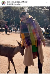岡田朋峰インスタグラム＠tomomi_okada_officialより
