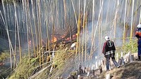 まんのう町で竹やぶ約2500平方メートルが焼ける　香川