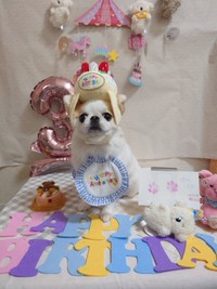 3歳の誕生日を迎えたほのちゃん（画像提供：ほのさん）