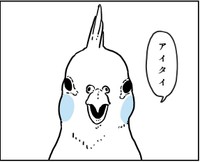 インコが覚えるほどに言っていた父の言葉（かもみらさん提供）