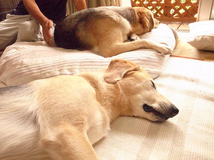 眠たくなってきたよ～