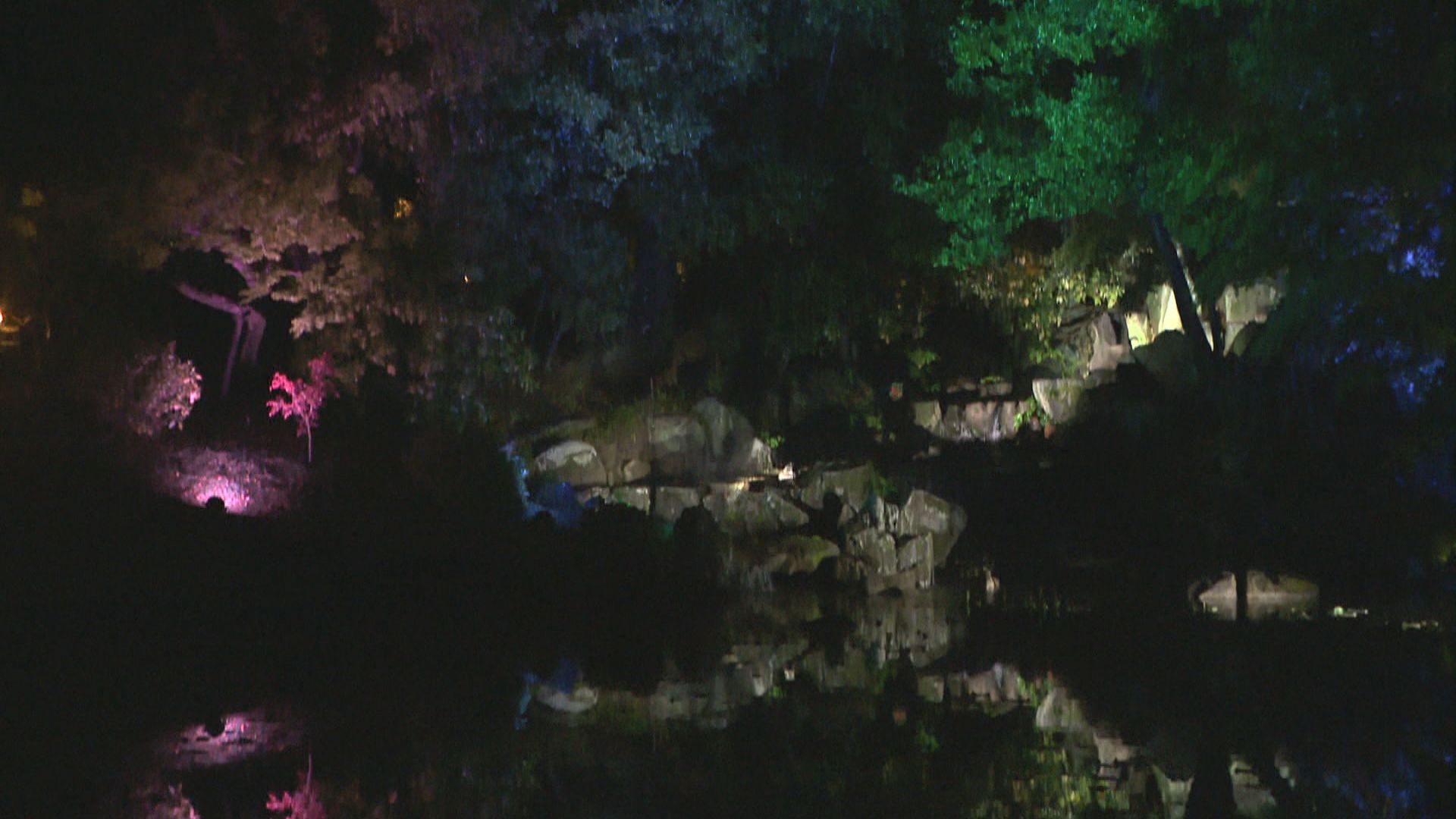 庭園の夜を灯りで彩る 24日から岡山後楽園で「春の幻想庭園」 期間中は
