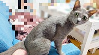 「ママ！？」 怪訝そうな表情を浮かべる風助くん（画像提供：kanaeさん）