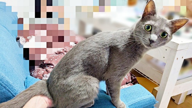 「ママ！？」 怪訝そうな表情を浮かべる風助くん（画像提供：kanaeさん）
