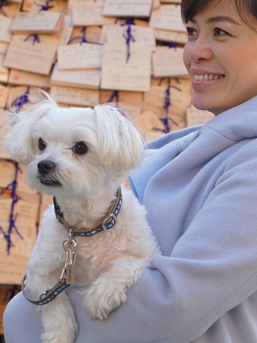 「これからも楽しくいきましょう」「うん、任せといて」