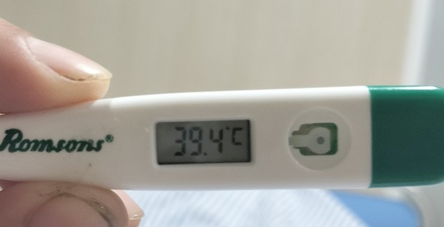 39.4℃の高熱（いのこうさん提供）