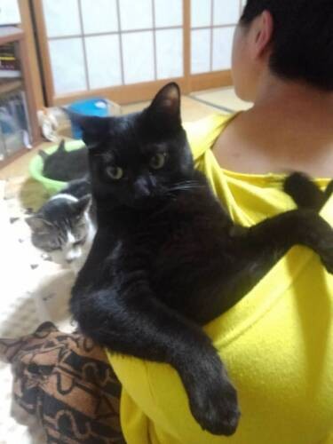 長男の背中に入り込む三番（成田さん提供）