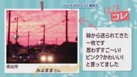 【はぴコレ】姉から送られてきた一枚・80歳を過ぎても現役！お好み焼き屋さんの母に感謝　12月2日放送