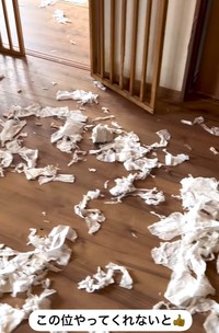 玄関のドアを力ずくで引っ張り開けて、トイレットペーパーをリビングまで持ち出したという(阿部さん提供、Instagramよりキャプチャ撮影)