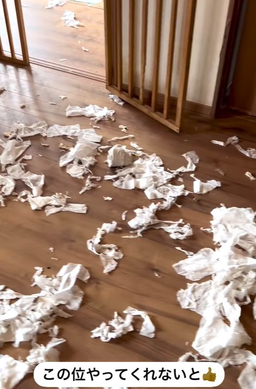 玄関のドアを力ずくで引っ張り開けて、トイレットペーパーをリビングまで持ち出したという(阿部さん提供、Instagramよりキャプチャ撮影)