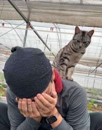 きゅうり農家の投稿がXで話題に（石垣将徳さん提供）