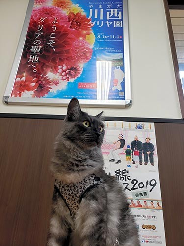 しょこらと川西ダリヤ園のポスター＝細谷さん提供