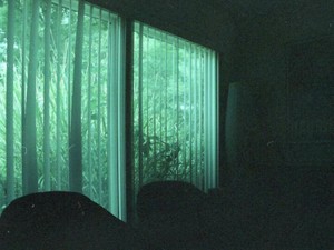 親友への過ぎた曖昧な感情。今も私の心を縛る初恋だった