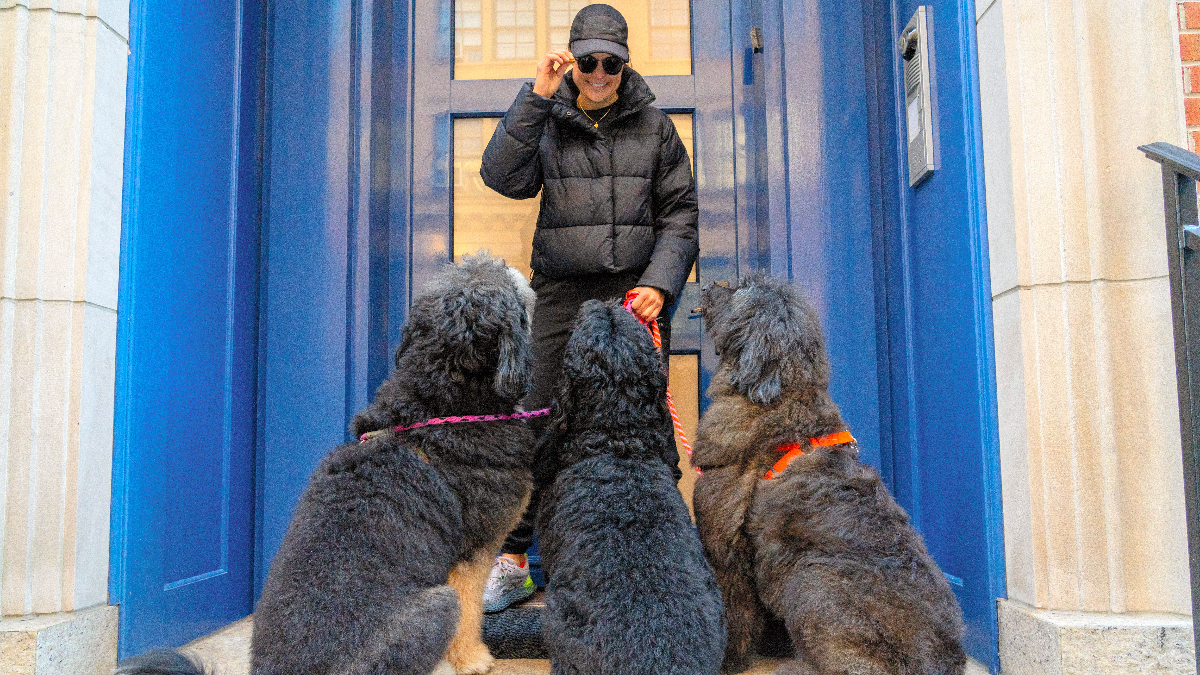 609c8d99e73686bd0ff9c241aef13b