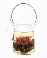 銀座 蔦屋書店限定 工芸茶・茶器セット（カルチュア・コンビニエンス・クラブ提供）