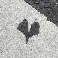 横断歩道をアップで見ると…（魚心さん提供）