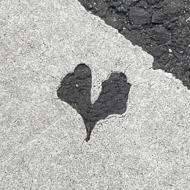 横断歩道をアップで見ると…（魚心さん提供）