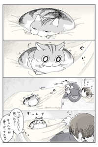【漫画】「掛け布団の上のネコ」（キュルZさん）