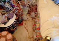 飼い主の布団のそばに、2匹の小型犬が寄り添うようにして亡くなっていた…（「汚部屋クリーナーみなみ」さん提供）