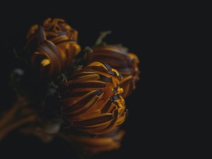 「腹を括った」愛の告白だった。別れた彼との共通の友人を恋人にするまで