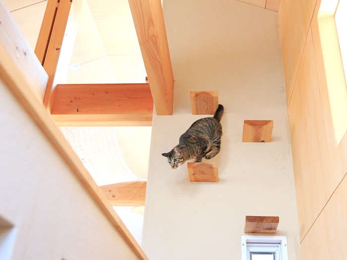 ピューっ！ と逃げる棗！（テクニック2）