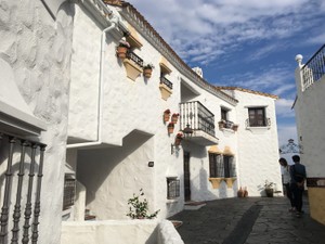 ただのカレーうどん