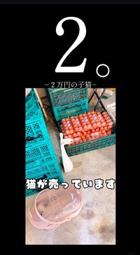 八百屋の店内に置いてあった(よりパパさん提供、Instagramよりキャプチャ撮影)
