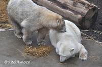 被り物を外し母の側に置きました