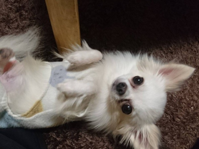 くつろぎポーズ