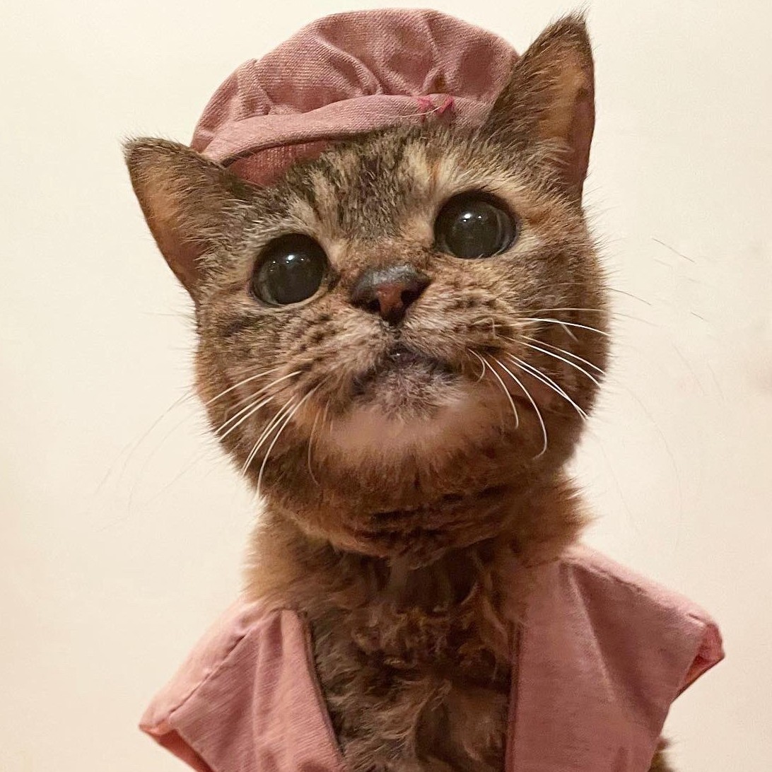 人間でいえば“百寿”「ボロボロだった子がこんなに長生き」…21歳を迎え