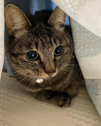 ずっと一緒だよ