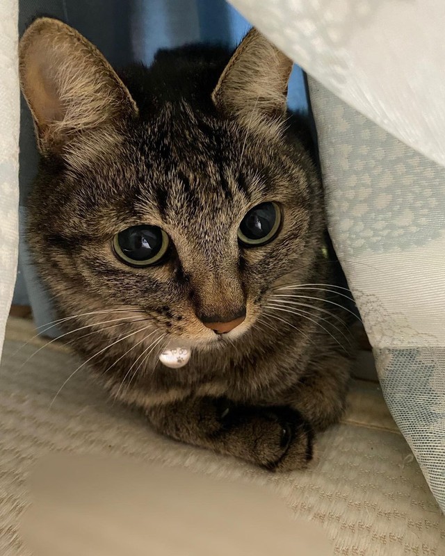 ずっと一緒だよ