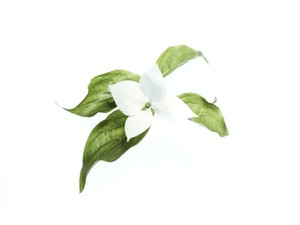 「人の痛みが分かる人」と言ってくれた彼女の痛みも分かる日が来るのだろうか