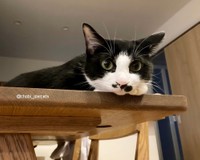 ごはん、まだ？