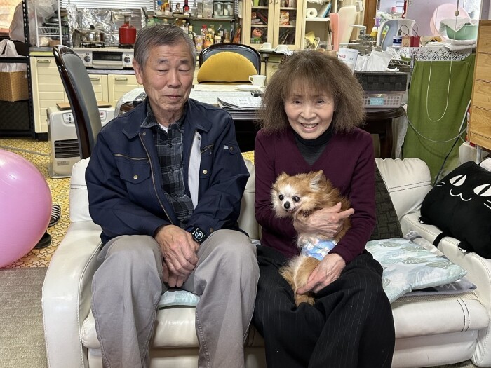 繁殖犬としてブリーダーで長年過ごしたチワワの「ゆずちゃん」。チワワの飼育経験がある80代の優しいご夫婦が迎え主になるためにトライアル中