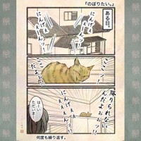 【漫画】『今日もネコ様の圧が強い』13　©Uguisu Utako