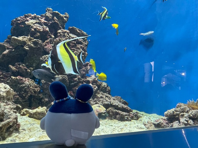 みみっちを連れて水族館へ行ったこともあるとか／ほしこ@たまごっち垢さん（@hsk_gotch）提供