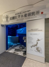 大阪・関西万博に実際食べられるブースがある　提供：近畿大学