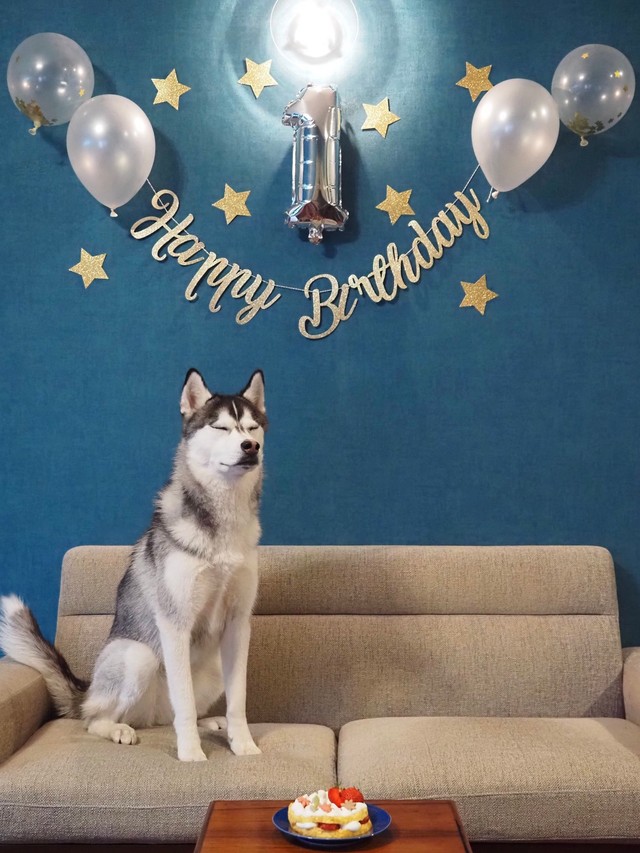 誕生日でも素人は黙っとれ（提供：ムイさん）