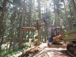 「日本の林業は100年古い」　森林ジャーナリスト・田中淳夫さんに聞く