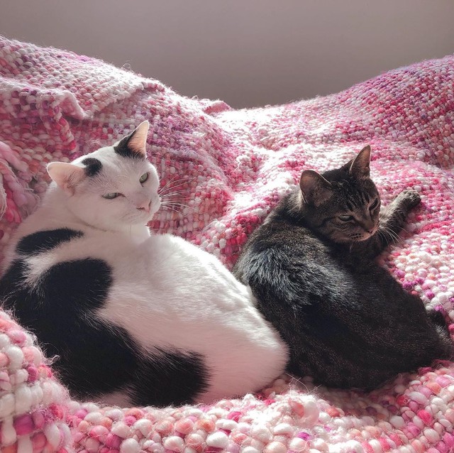 本当の兄弟のよう、いつも寄り添っている