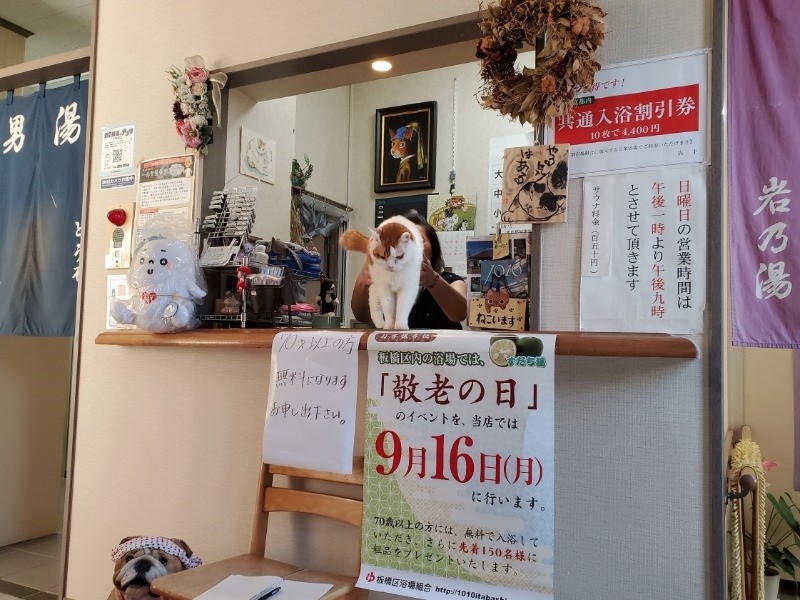 営業時間は１５：３０～２３：００「僕は昼寝もするよ」