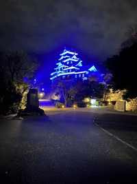 早期受診など胃がんへの理解を深めて　岡山城などライトアップ