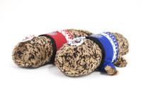 2023年「オオサンショウウオの日」限定のお祭りオオサンショウウオ。威勢がいい