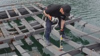 カキ大量死を受け　海水の塩分を24時間計測　データはリスク回避や生産量安定につなげる　岡山