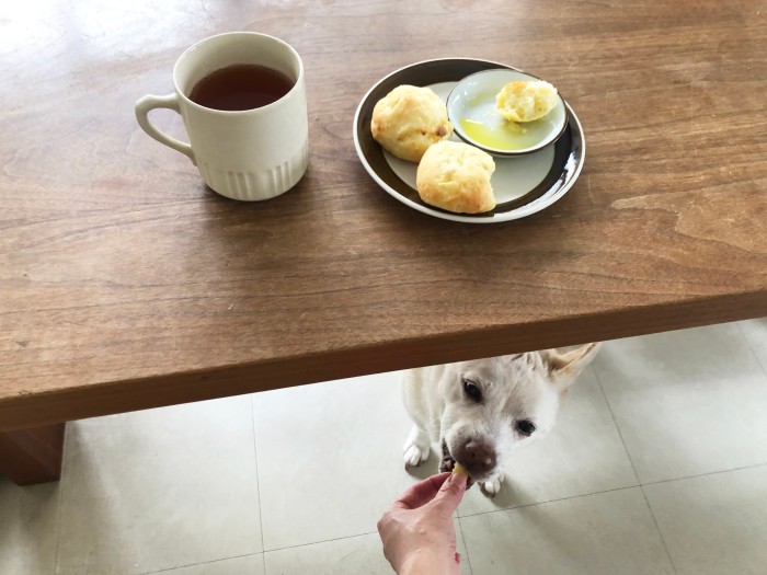 いただきます！